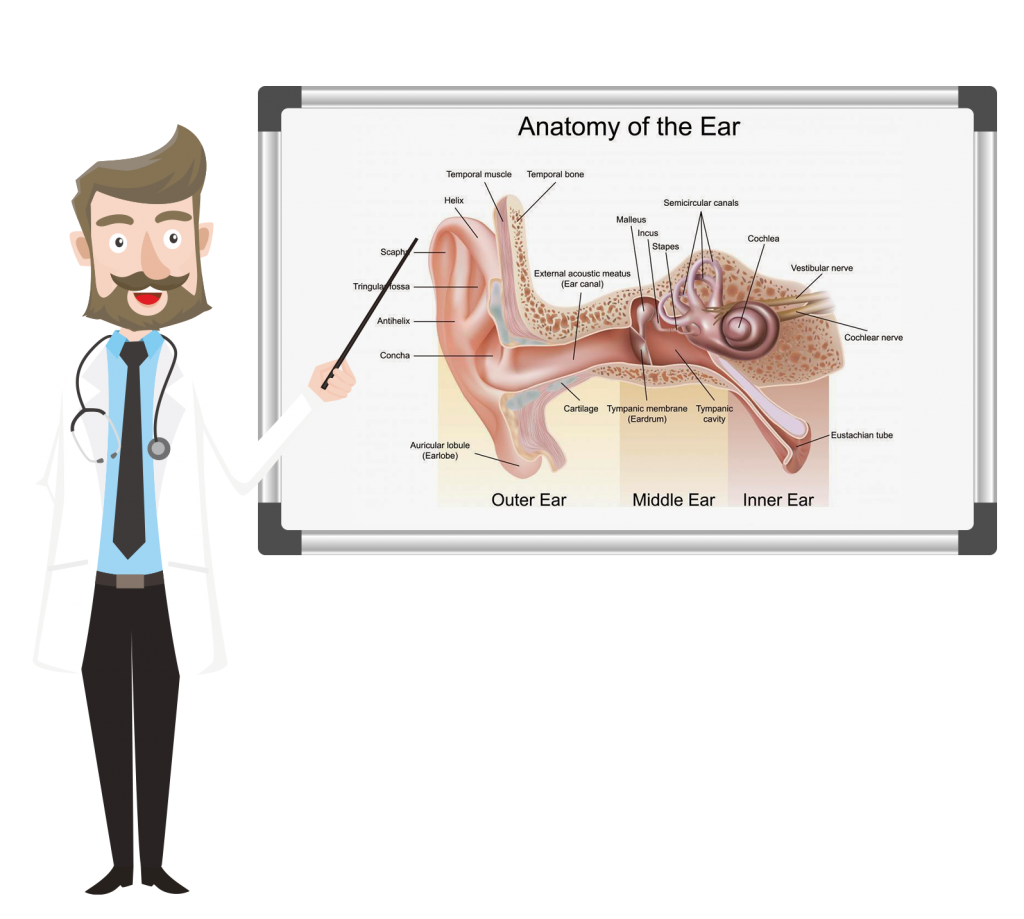 Doctor Ear Cleaning Clinic